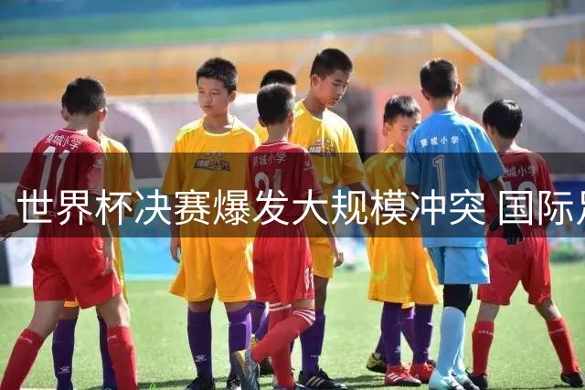 世界杯决赛爆发大规模冲突 国际足联启动纪律调查程序