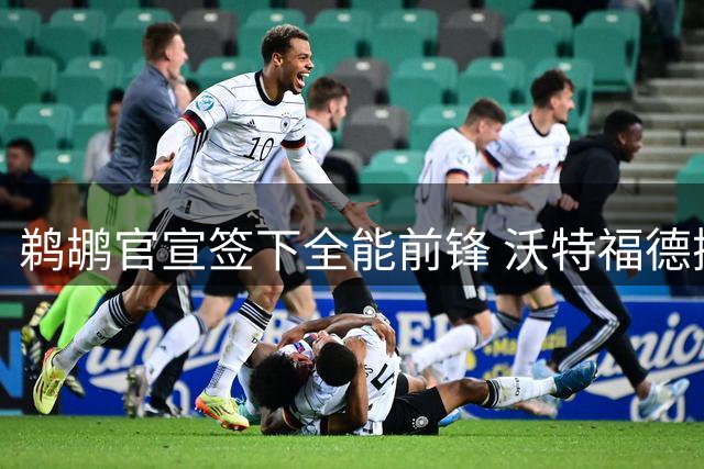 鹈鹕官宣签下全能前锋 沃特福德携手锡安开启新篇章